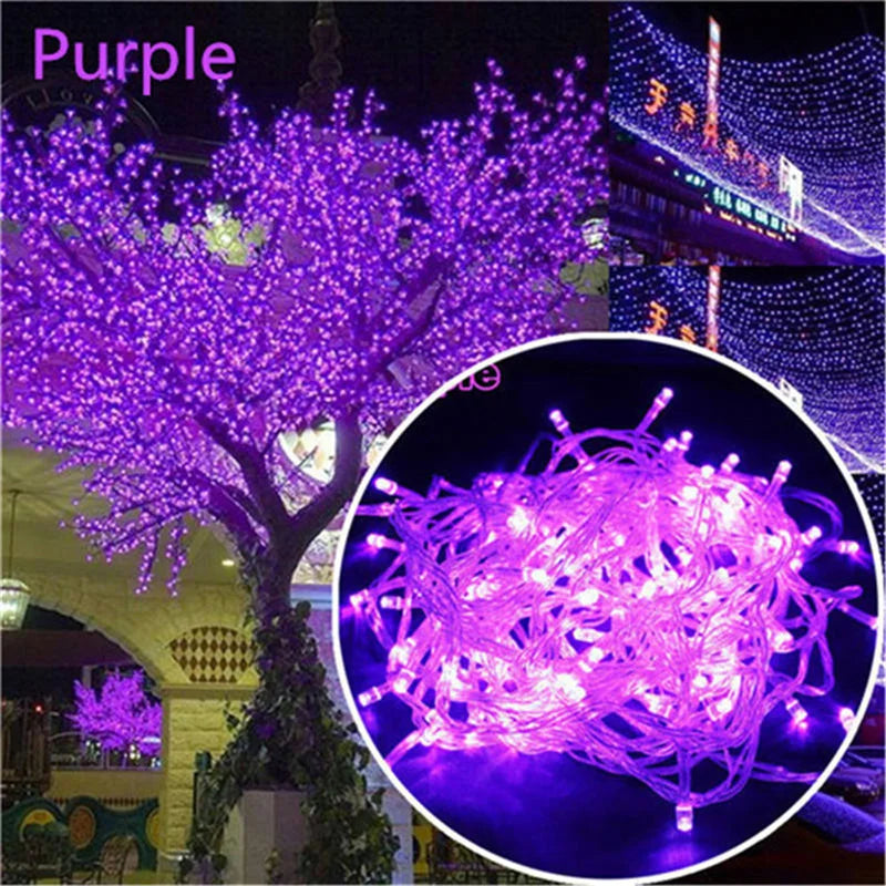 Tira de luces LED Navideñas básica